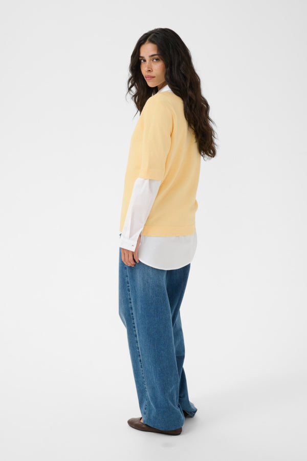 Lizza Boatneck Solid Pullover