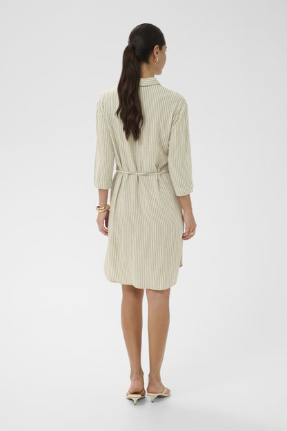 Milia Short Shirt Dress