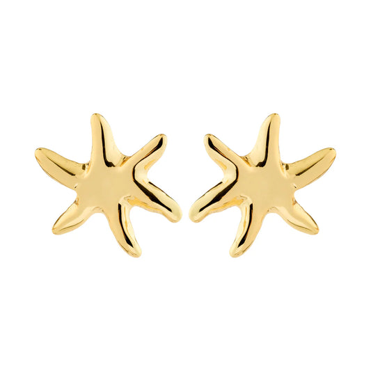 Prism Recycled Chunky Starfish Earrings