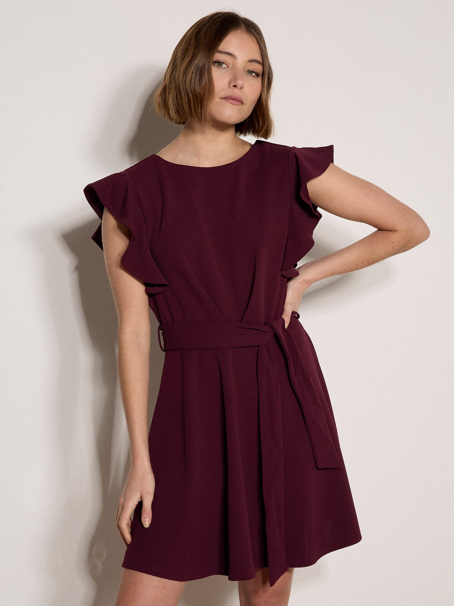 Ruffle Sleeve Fit & Flare Dress