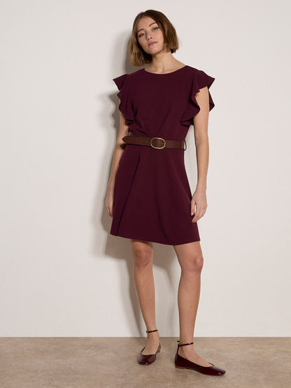 Ruffle Sleeve Fit & Flare Dress