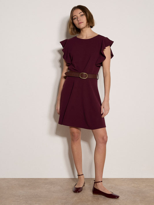 Ruffle Sleeve Fit & Flare Dress