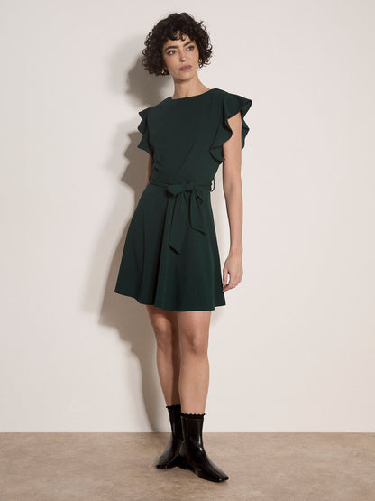 Ruffle Sleeve Fit & Flare Dress