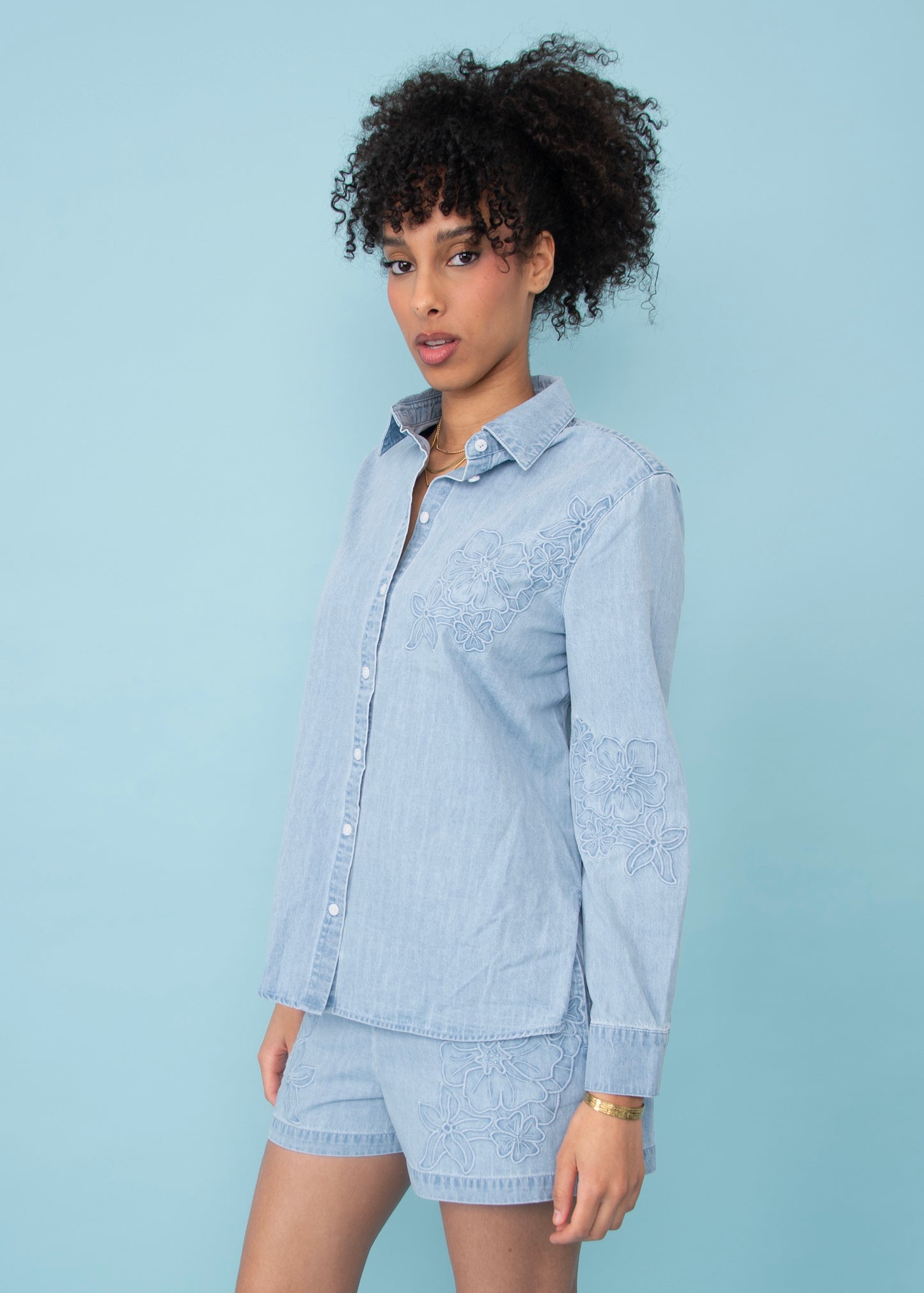Sherlyn Denim Shirt